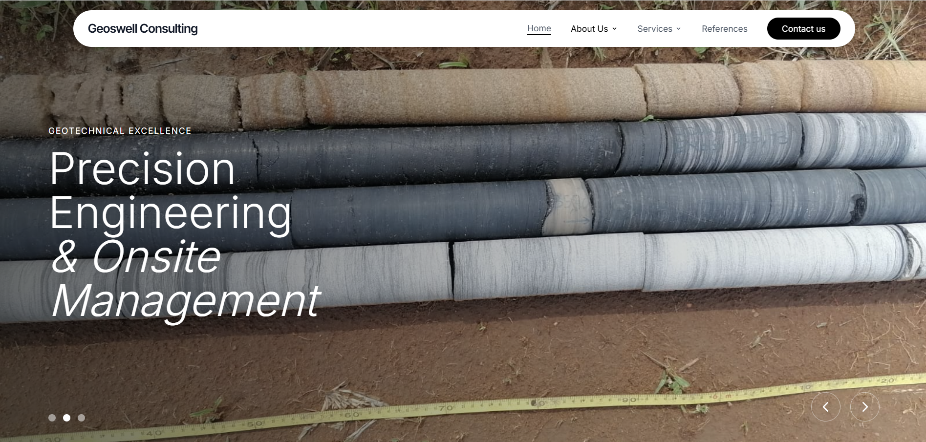 Geoswell website preview